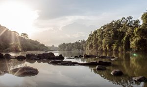 pantai-gading-alami-deforestasi-pemerintah-luncurkan-proyek-investasi-hutan